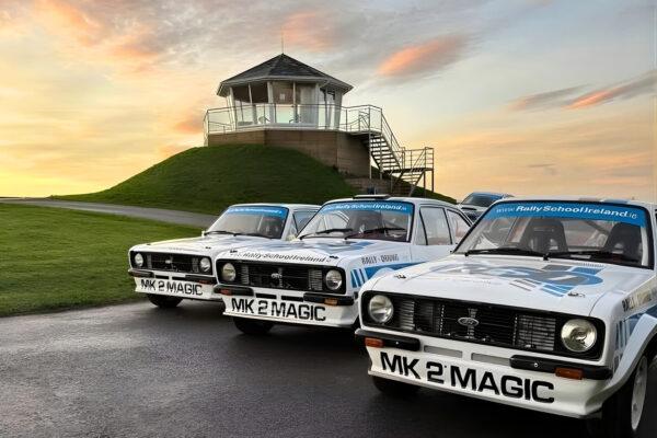 Three classic rally cars lined up on a track at sunset near a hill with a gazebo.